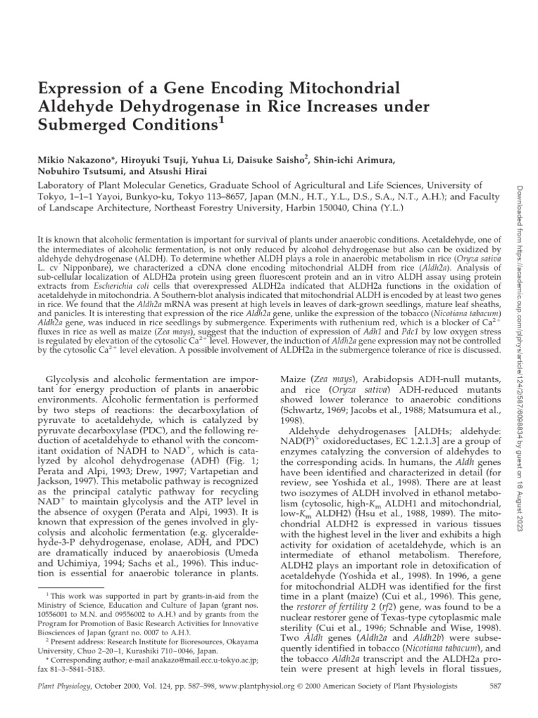 Rice Aldehyde Dehydrogenase Gene Expression Under Submergence | PDF ...