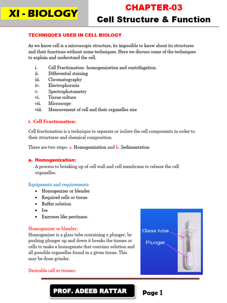Cell Biology Techniques Explained | PDF | Microscope | Electron Microscope