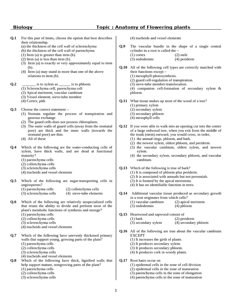 Plant Anatomy: Cell Types and Functions | PDF | Plant Stem | Root