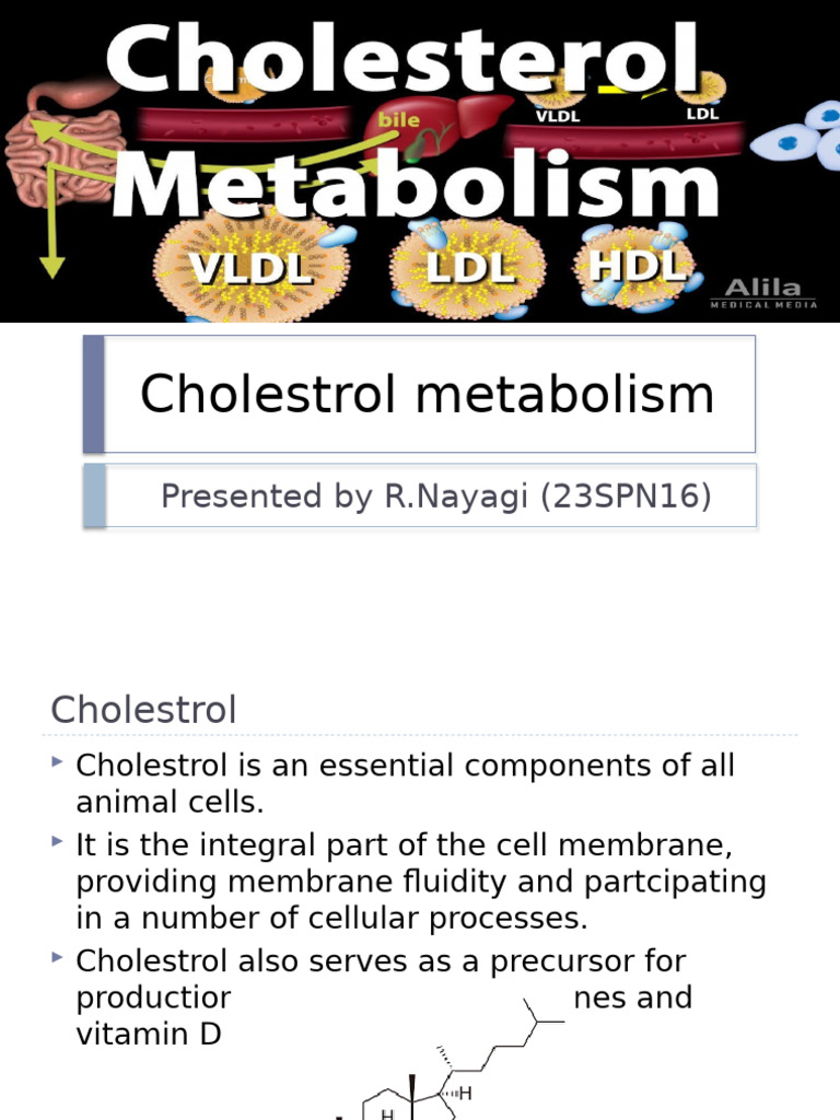 Understanding Cholesterol Metabolism | PDF | Cholesterol | Lipoprotein