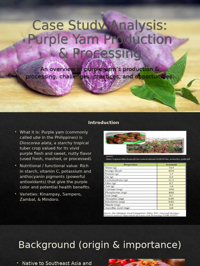 Purple Yam Production & Processing Guide | PDF | Agriculture