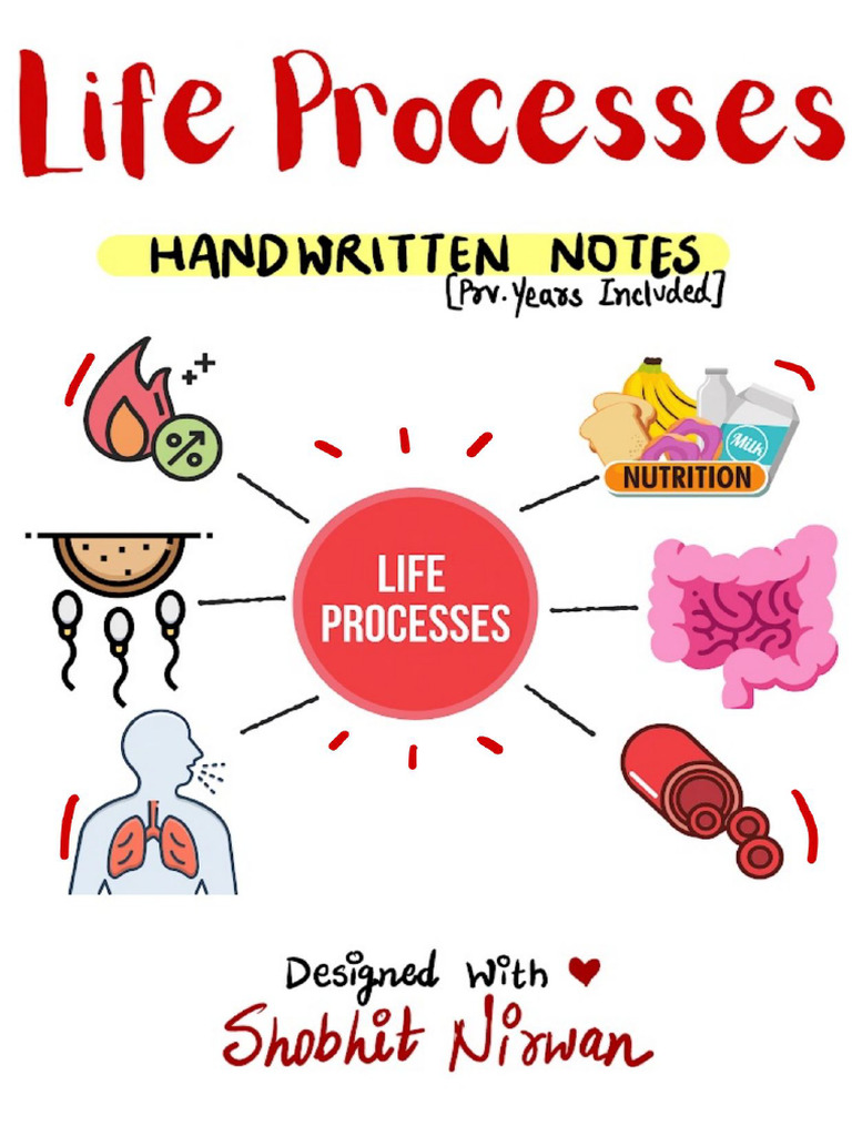 Life Process Verified Notes | PDF