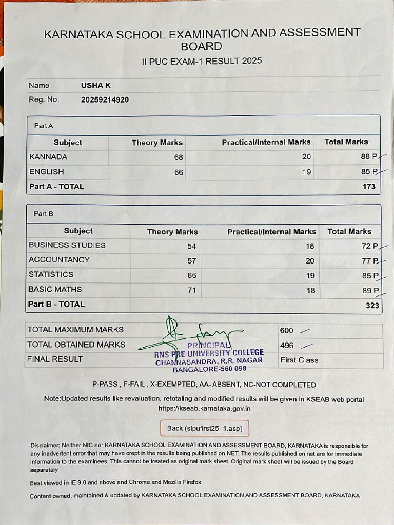 PUC Marks Card | PDF