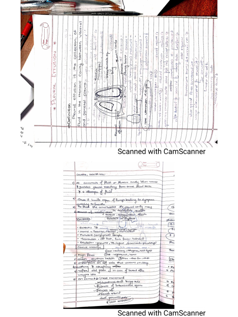 CHN 2 | PDF