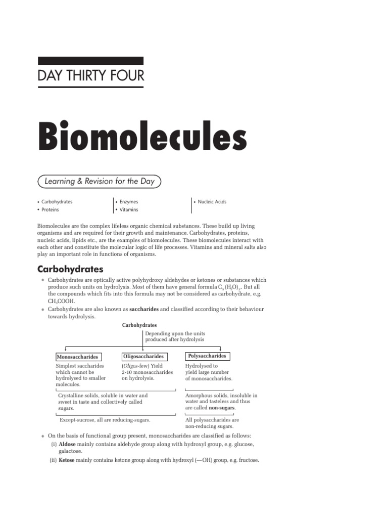 Understanding Carbohydrates and Biomolecules | PDF | Carbohydrates | Rna