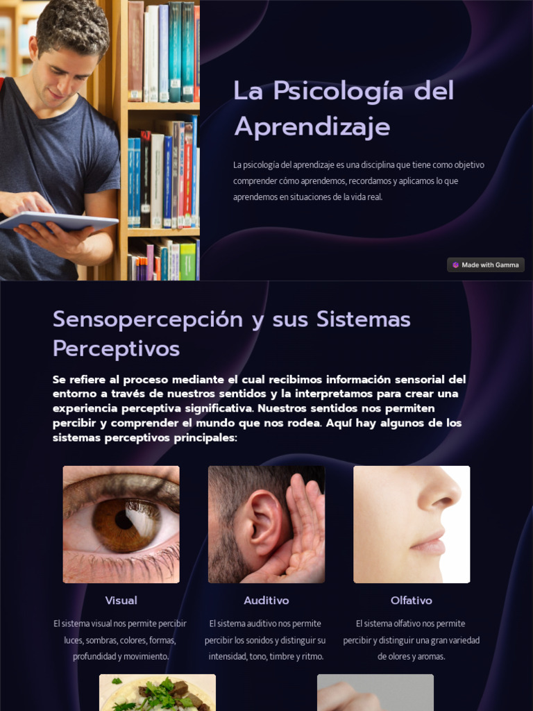 Psicología del Aprendizaje y Percepción | PDF | Las emociones | Memoria