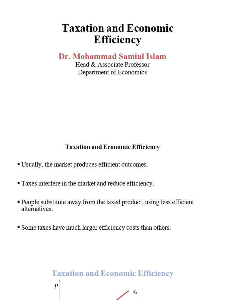 Taxation's Impact on Economic Efficiency | PDF | Taxes | Business Economics