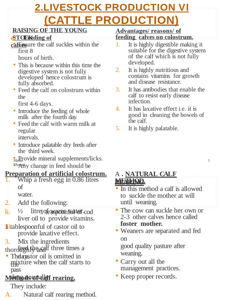 Calf Rearing Techniques and Management | PDF | Milk | Weaning
