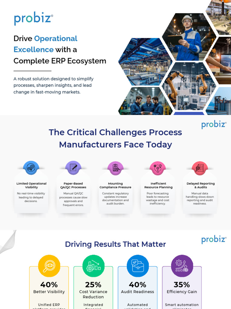 Probiz ERP | PDF | Enterprise Resource Planning | Audit
