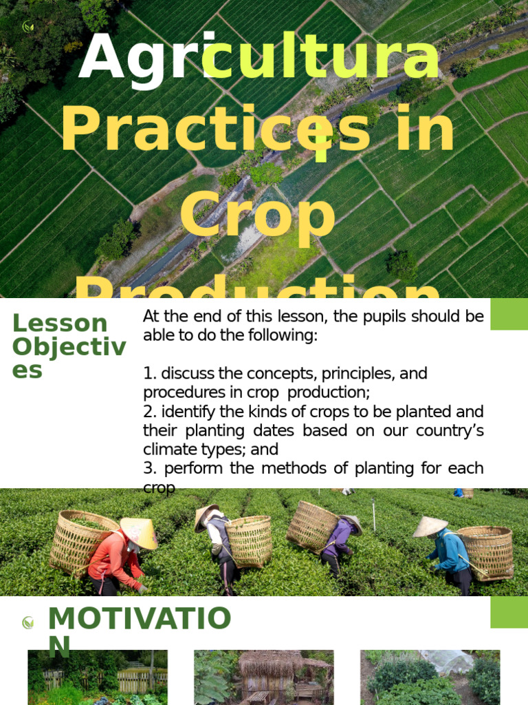 Crop Production Practices Overview | PDF | Soil | Vegetables