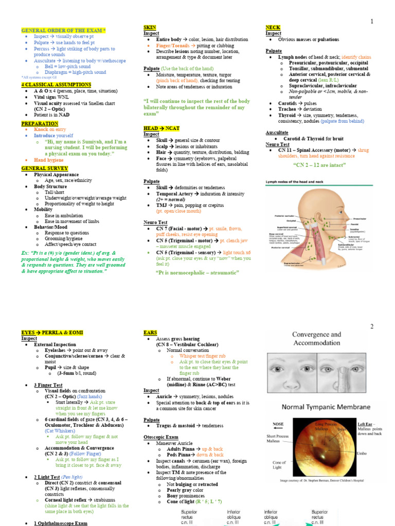 Physical Examination 2 | PDF | Human Nose | Human Anatomy