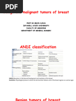 Breast: Kurt'S Notes | PDF | Adenocarcinoma | Epithelium