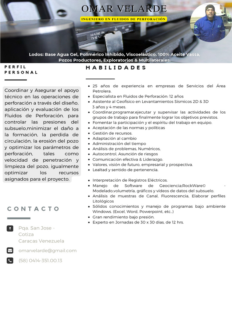 Currículum Modelo Profesional | PDF