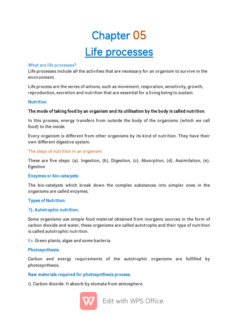 Chapter 5 Life Processes | PDF | Digestion | Respiratory System