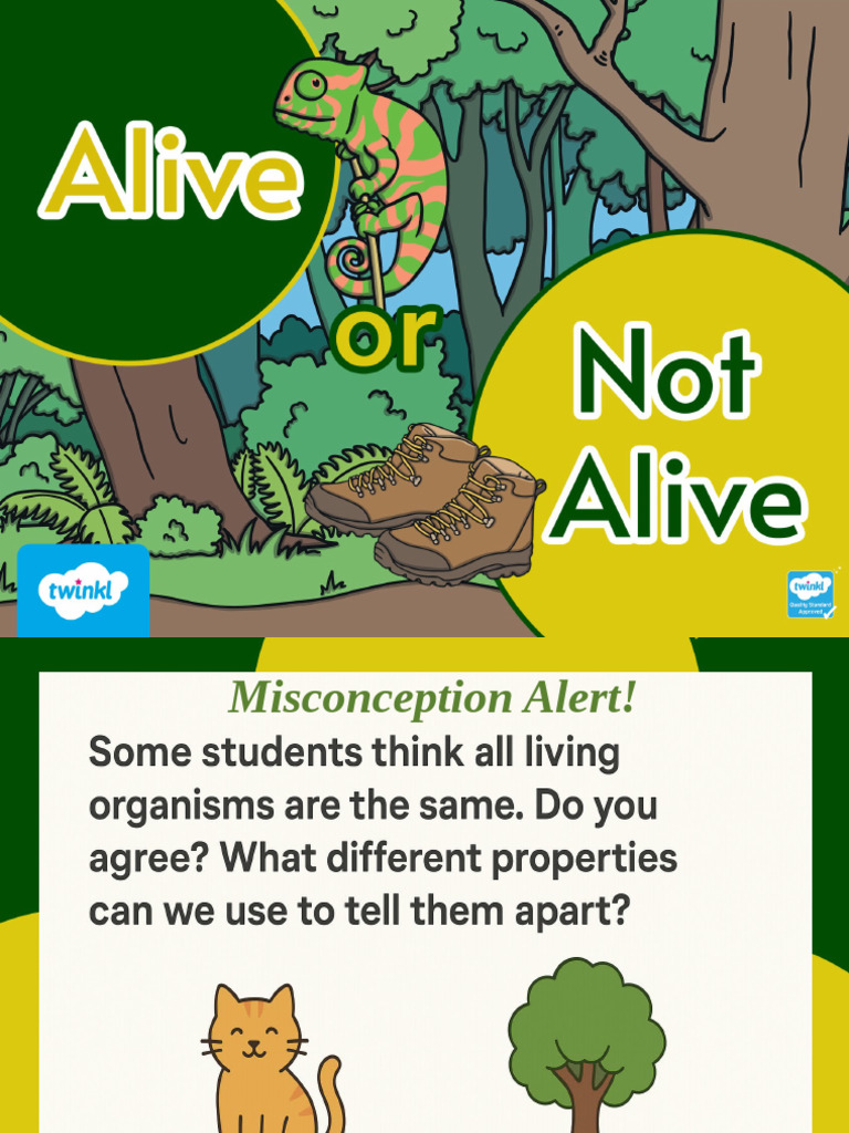 Alive or Not Alive Powerpoint Y3 W2D1 | PDF