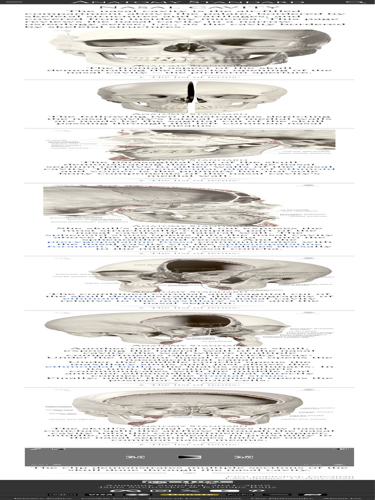 Topography of The Skull Nasal Cavity | PDF | Human Head And Neck ...