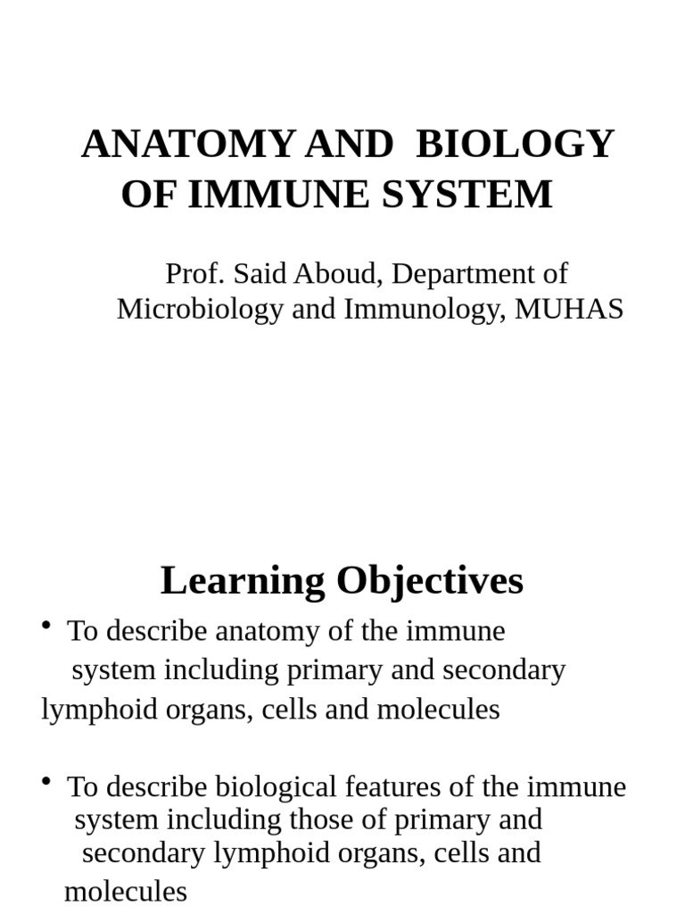 Anatomy and Biology of the Immune System | PDF | Lymph Node | Lymphatic ...