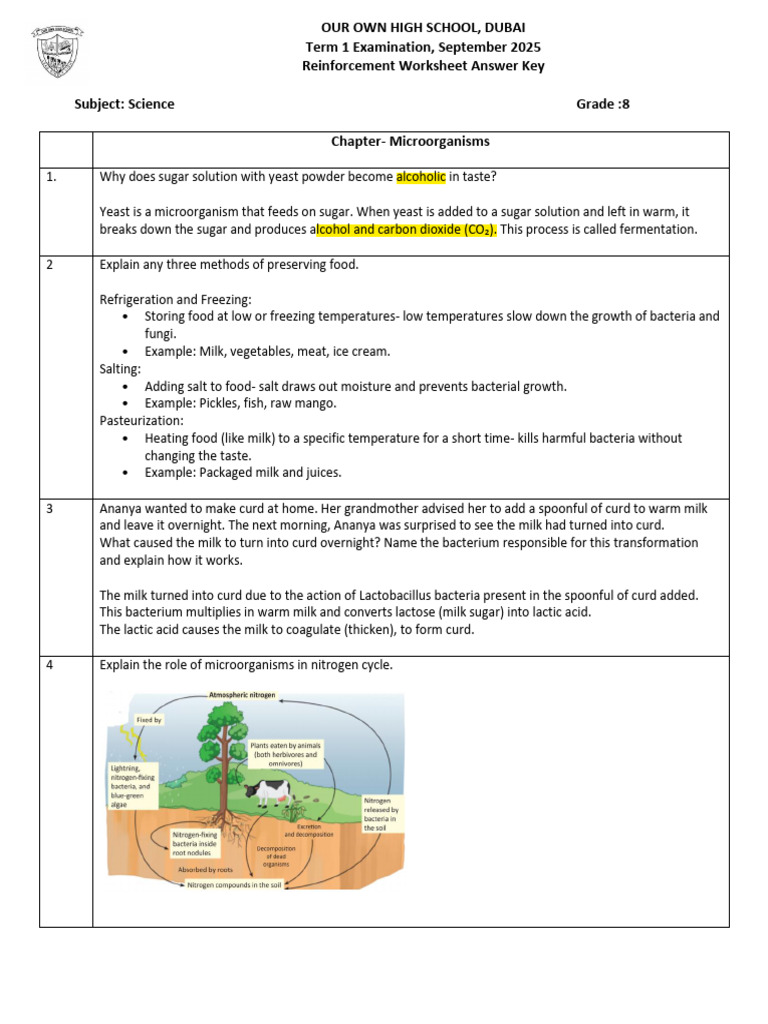 Grade 8 Term-1 Science Reinforcement Worksheet-Answer Key | PDF | Cell ...