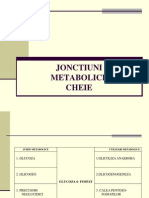 Jonctiuni Metabolice