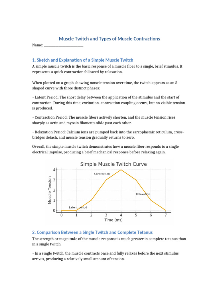 Muscle Twitch and Contraction Types Explained | PDF | Muscle ...