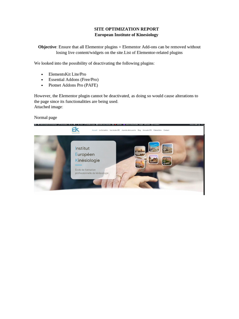 Site Optimization Report | PDF | Word Press | Computer Science