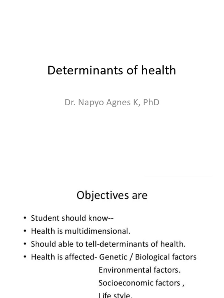 Determinants of Health | PDF