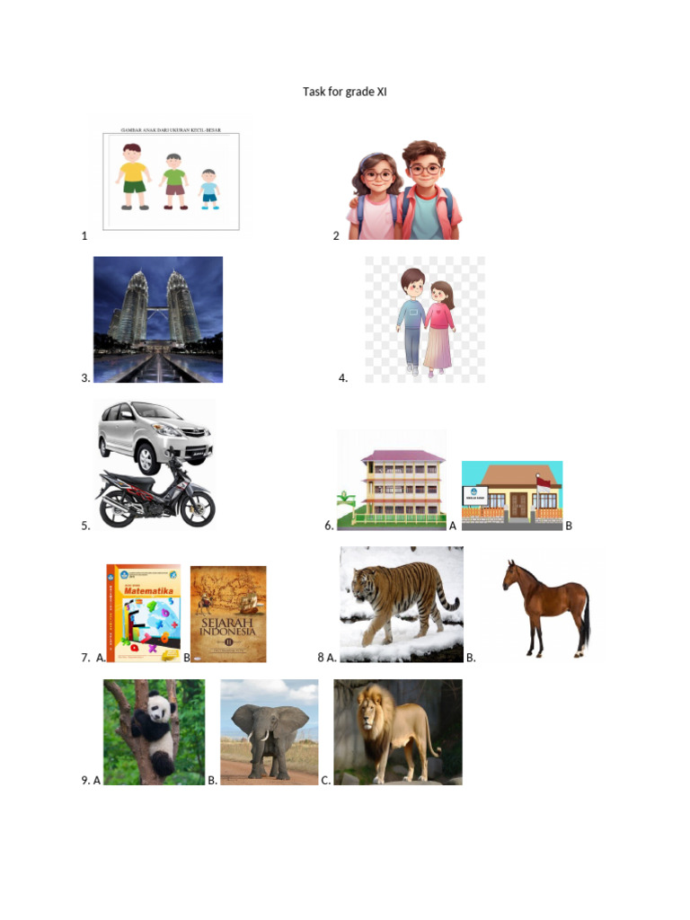 Exercise For Class XI | PDF