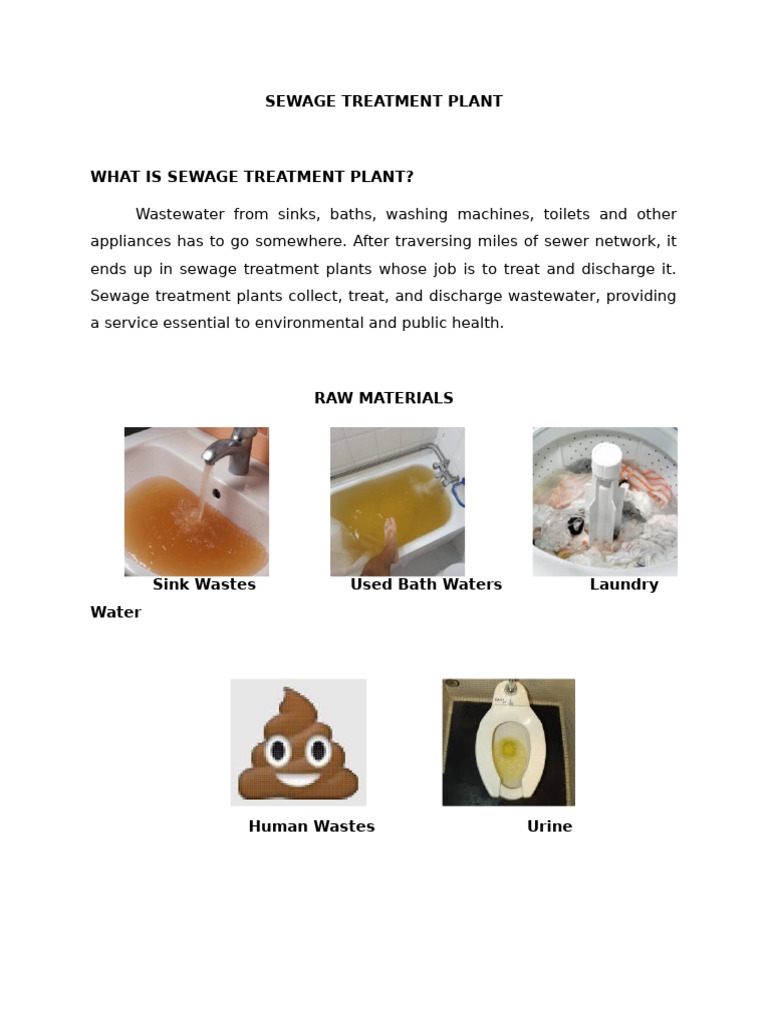 Sewage Treatment Plant Process Explained | PDF | Water Purification ...