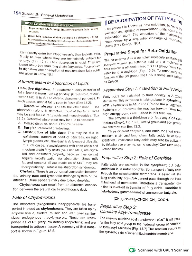 Beta Oxidation of Fatty Acid | PDF