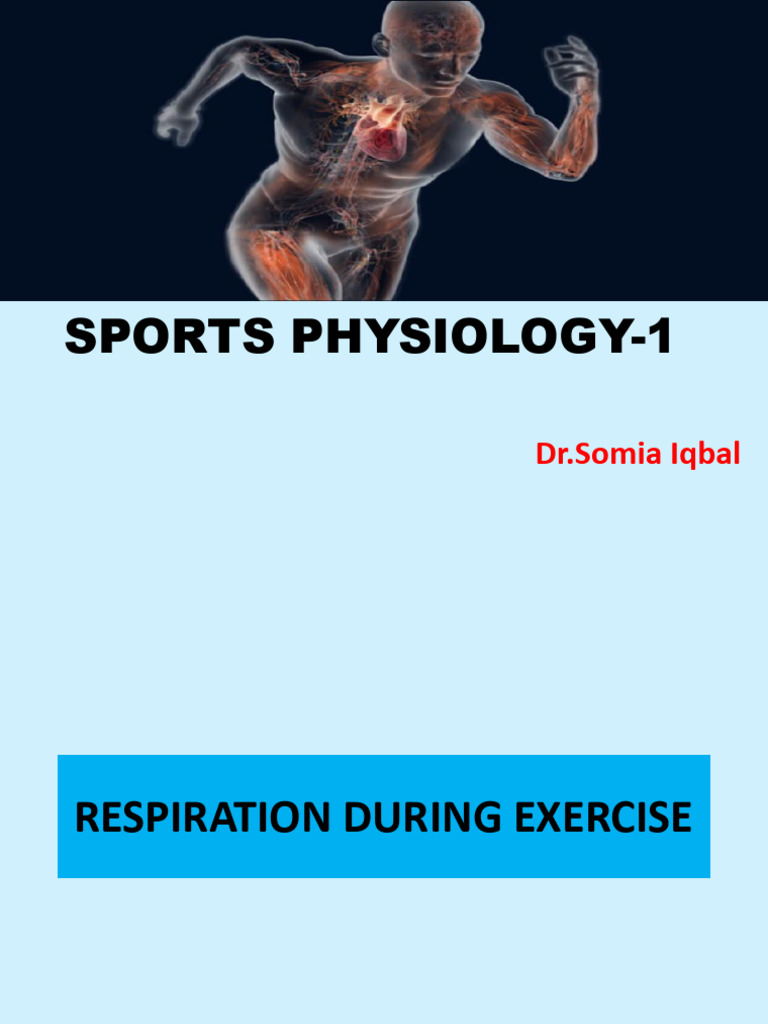 Effects of Exercise on Respiration and Muscle | PDF | Skeletal Muscle ...