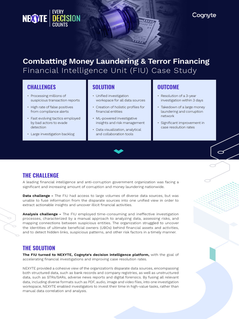 Accelerating Financial Investigations with NEXYTE | PDF | Data | Software