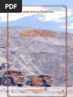 Curso de Derecho Minero-CARMEN ANSALDI