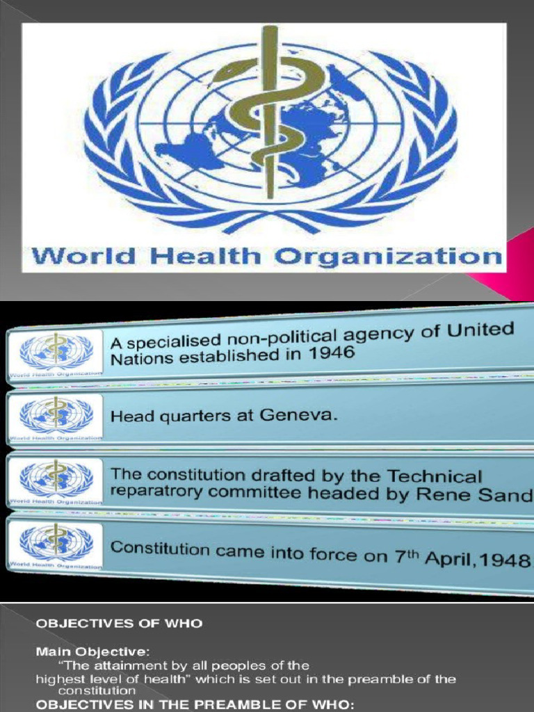 International Health Agencies | PDF