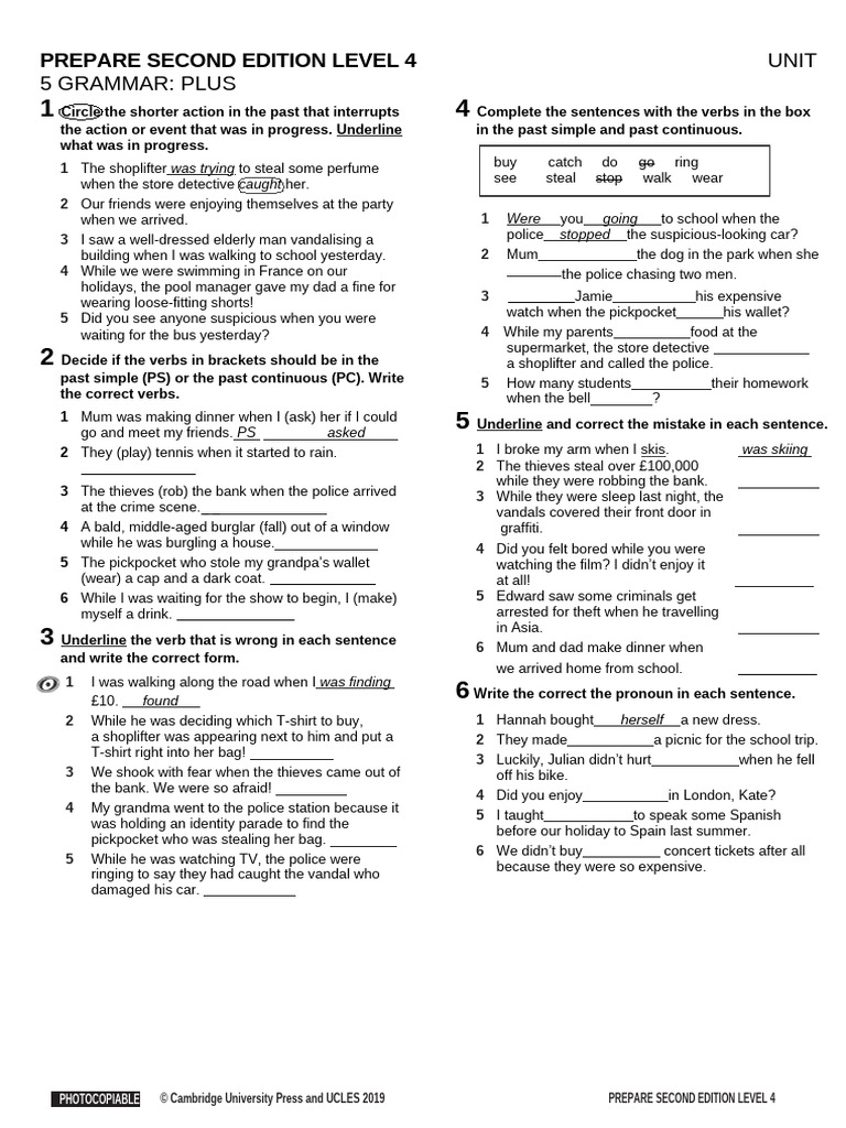 Past Tense Grammar Exercises | PDF