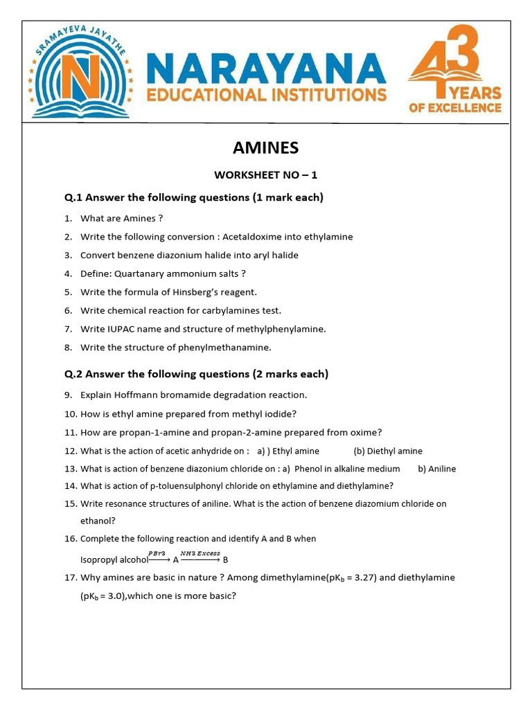 Bromine Reactions with Amines Worksheet | PDF