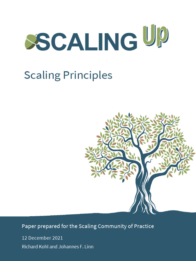 Scaling Principles Paper Final 13 Dec 21 | PDF | Innovation ...