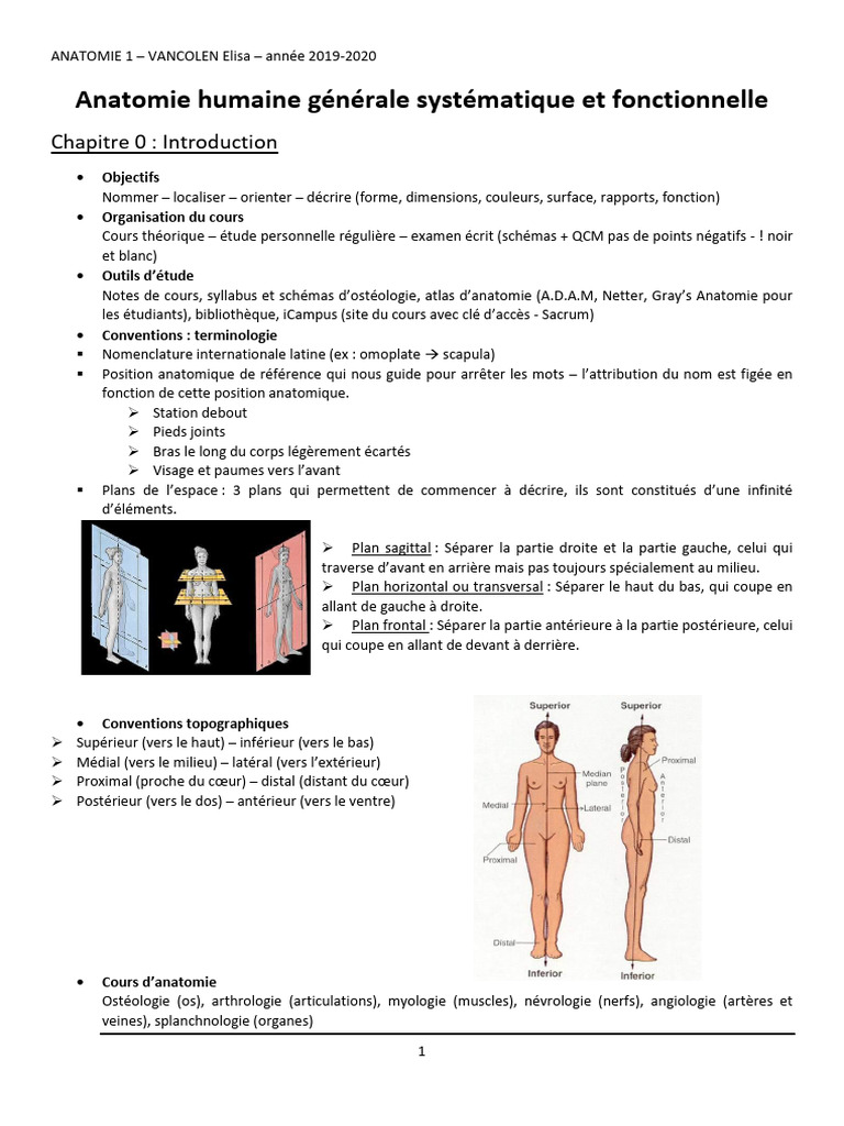 Introduction à l'anatomie humaine | PDF | Vertèbre | Système squelettique