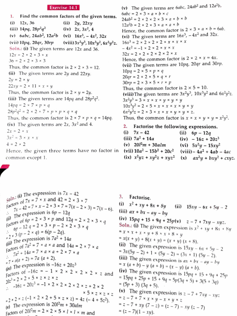 Common Factor Identification Exercise | PDF
