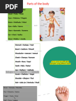 Body Parts in English and Tamil | PDF | Wellness | Science & Mathematics