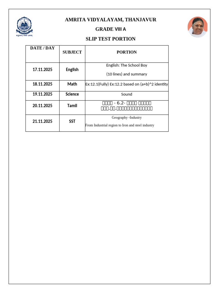 Grade VIII A Slip Test Portions 2025 | PDF