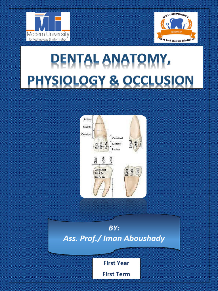 Dental Anatomy Overview and Structure | PDF | Dental Anatomy | Human Tooth