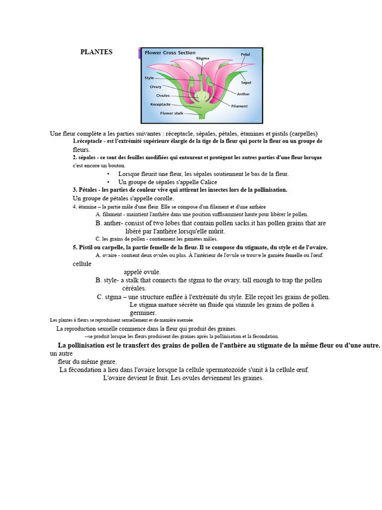Parties de la fleur et reproduction des plantes | PDF | Fleurs | Graine