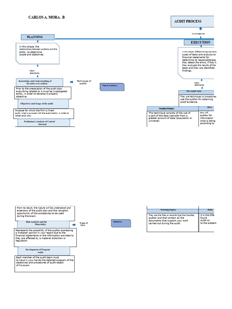 Audit Process Overview and Techniques | PDF | Audit | Business