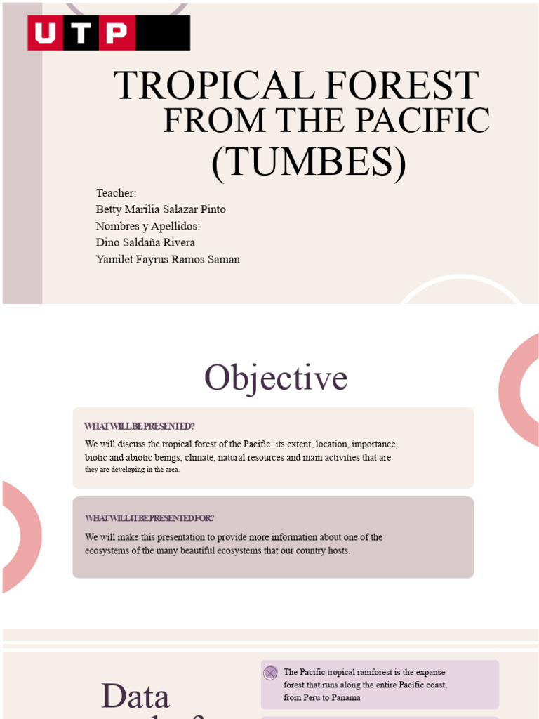 Pacific Tropical Forest Overview | PDF | Forests | Tropics