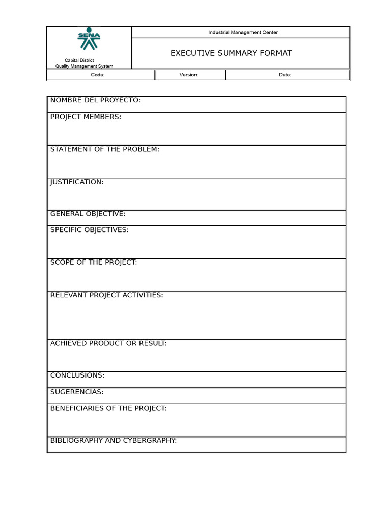 Executive Summary Format For Project Presentation | PDF