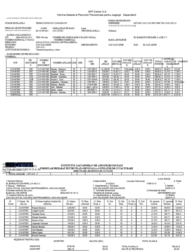Formular Isss Și Afp | PDF