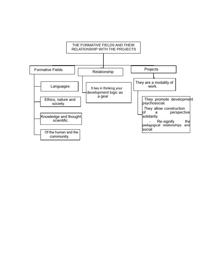 The Formative Fields and Their Relationship With Projects | PDF
