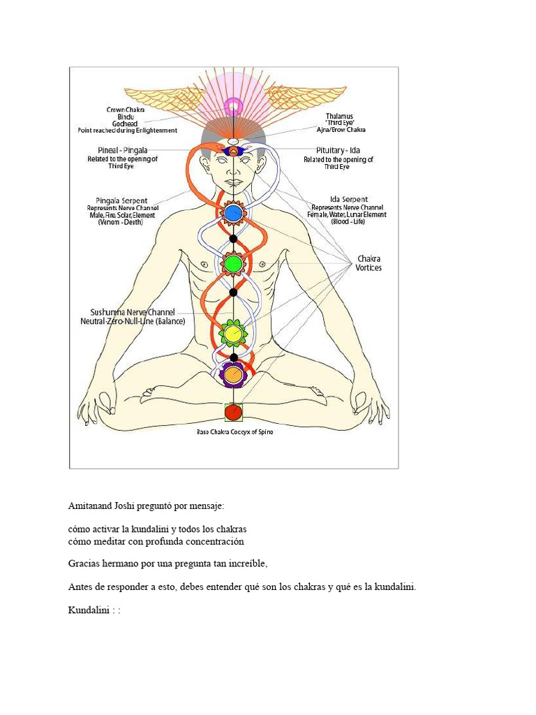 Chakras Del Cuerpo Humano | PDF | Chakra | Tantra