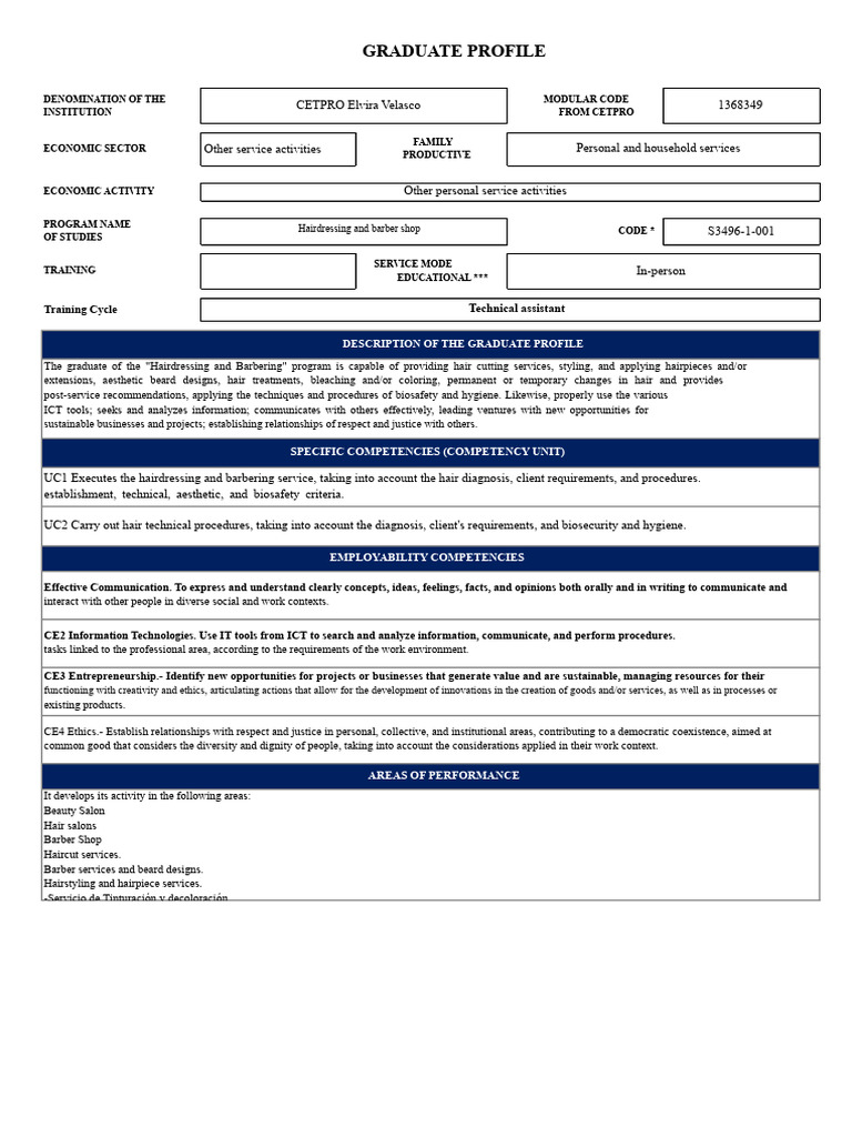 Hairdressing Graduate Profile Overview | PDF | Hairdresser | Hairstyle