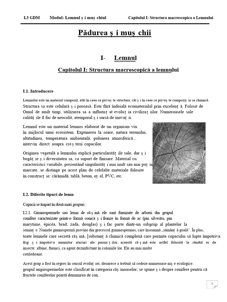 Capitolul I Structura Lemnului | PDF
